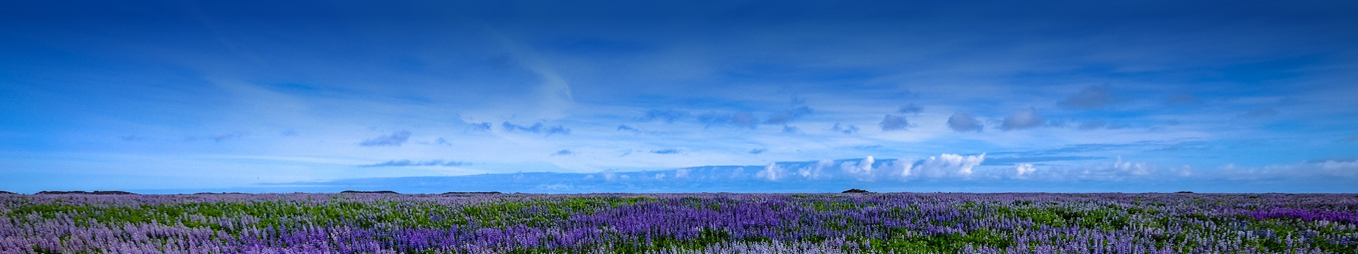 湘潭湘水缘长生陵园